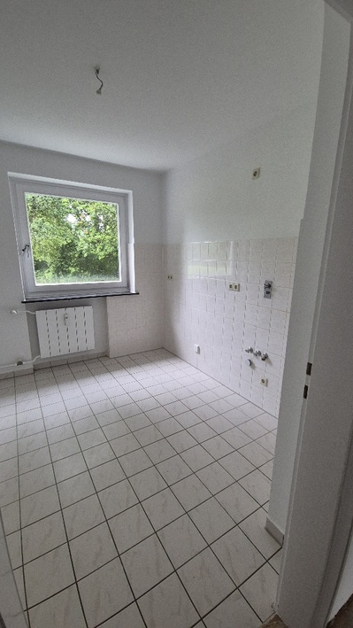 Wohlfühlen in Detmerode – 3-Zimmer-Wohnung m Erdgeschoss - Foto 1