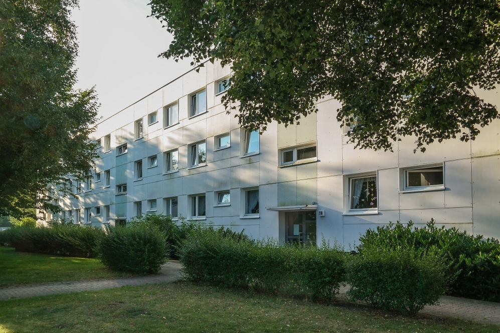Wohlfühlen in Detmerode – 3-Zimmer-Wohnung m Erdgeschoss - Foto 5