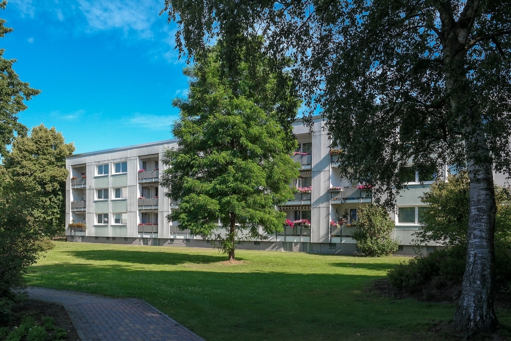 Wohlfühlen in Detmerode – 3-Zimmer-Wohnung m Erdgeschoss - Foto 4