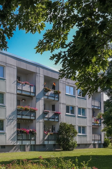 Wohlfühlen in Detmerode – 3-Zimmer-Wohnung m Erdgeschoss - Foto 3