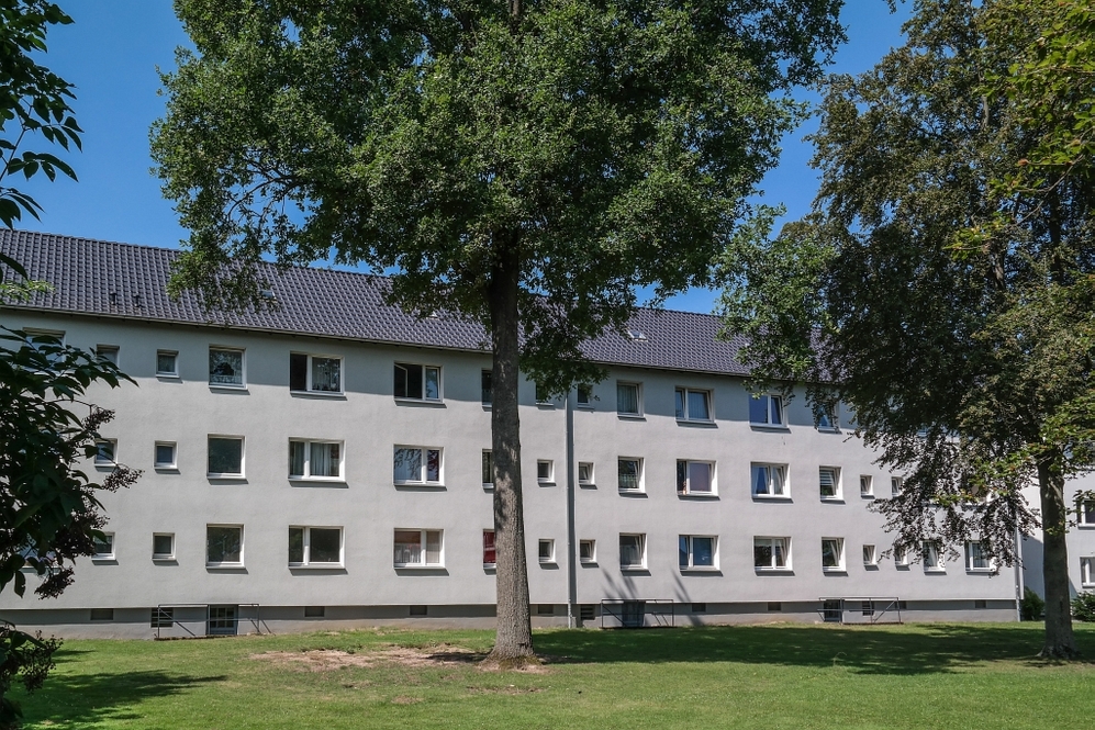 Wohnen auf dem Wohltberg: 2 Zimmer mit Loggia - Foto 3