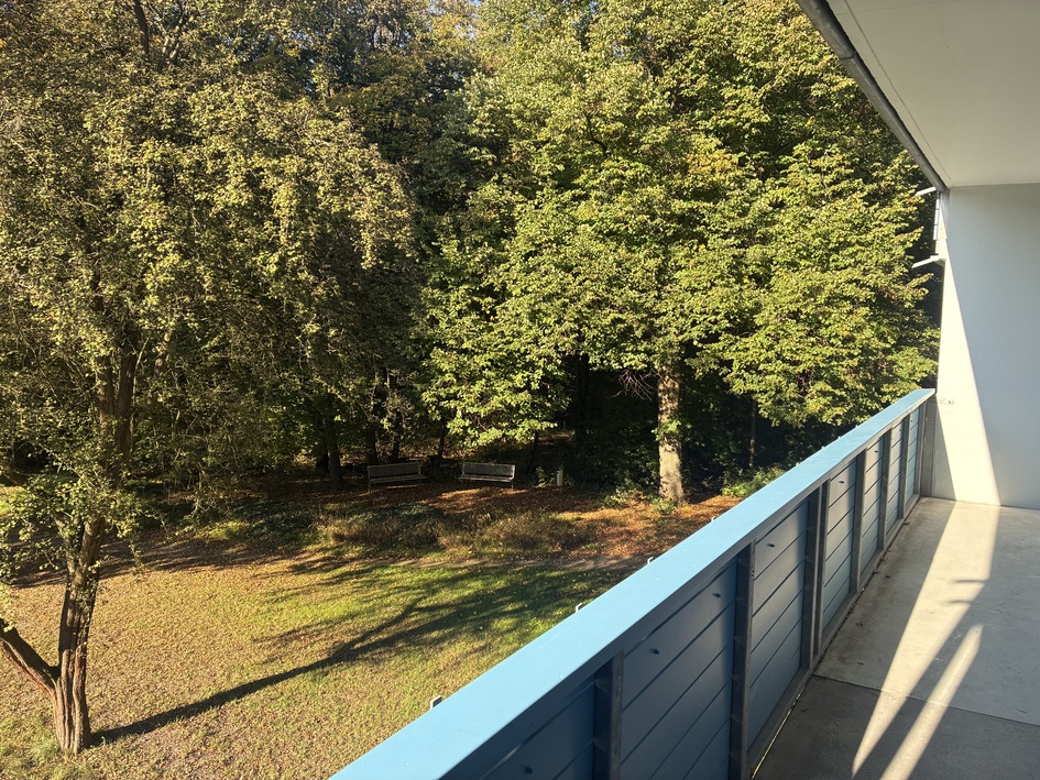 Modernisierte 3-Zimmer-Wohnung im Eichelkamp, 1.OG und mit Balkon - Foto 3
