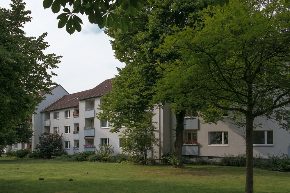 Erdgeschosswohnung in der Teichbreite mit drei Zimmern, Loggia, Tageslichtbad - Photo 4