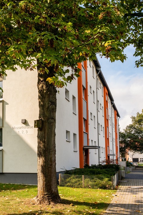 Attraktive Erdgeschosswohnung in Fallersleben: Komfortables Wohnen in beliebter Lage - Photo 3