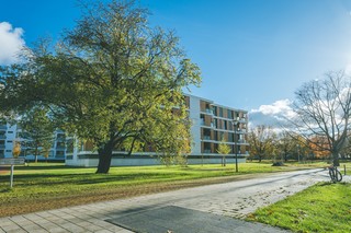 Stadtgarten Wellekamp- Stilvolle Wohnung mit großzügigem Raumgefühl - Photo 1