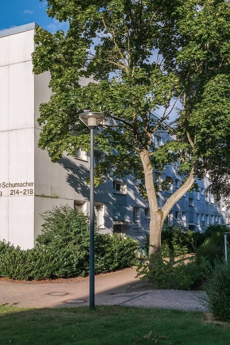 Stadtnah und naturnah – Ihre neu modernisierte Wohnung in Wolfsburg-Detmerode - Foto 3