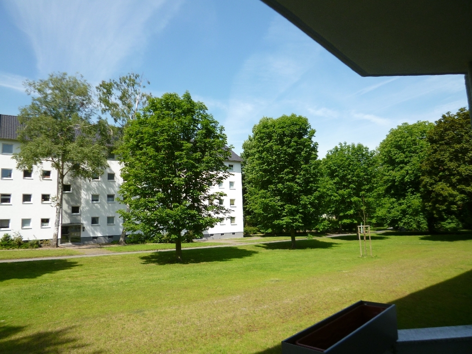 Idyllisch gelegen: Attraktive 3‑Zimmer‑Erdgeschosswohnung in Teichnähe - Photo 4