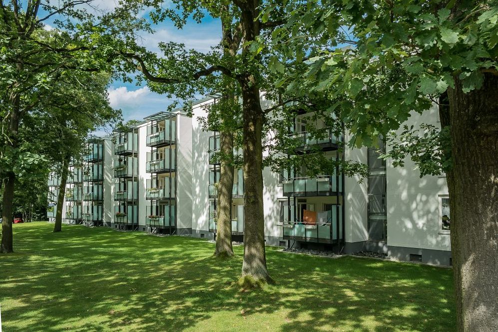 Zuhause im Grünen – entspannt und modern wohnen auf dem Rabenberg - Photo 3