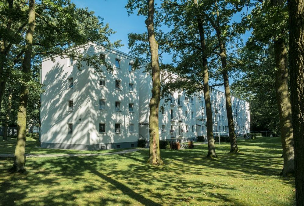 Zuhause im Grünen – entspannt und modern wohnen auf dem Rabenberg - Photo 5