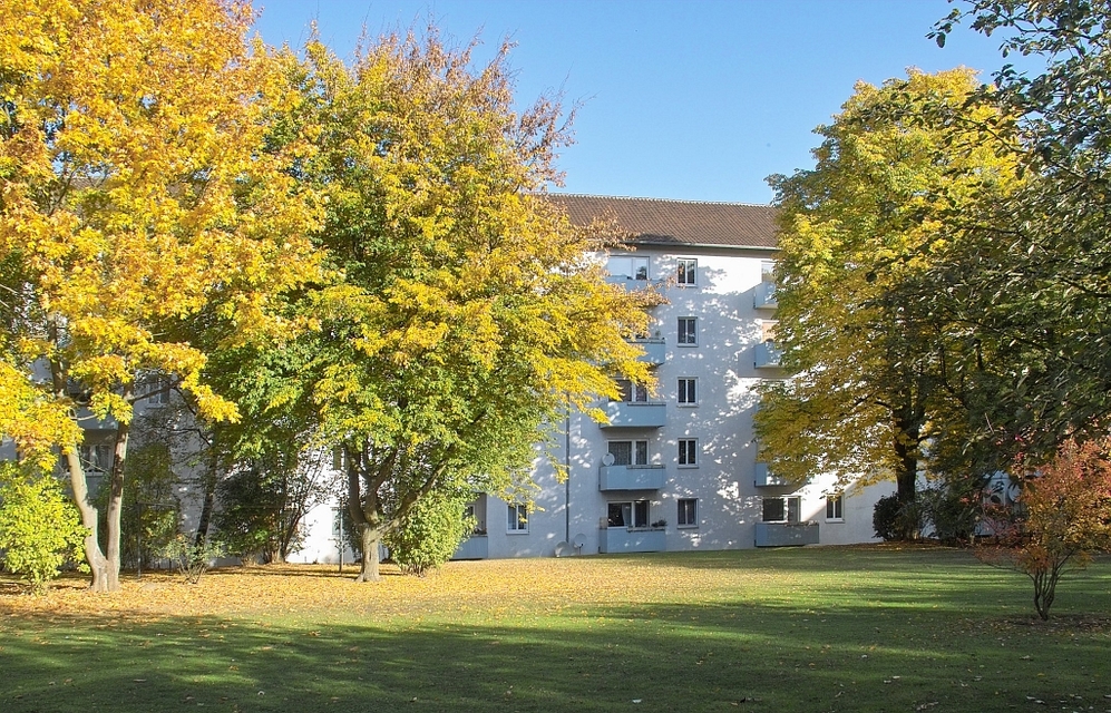Ihr neues Zuhause im Wohltberg – 3 Zimmer mit Balkon - Foto 5
